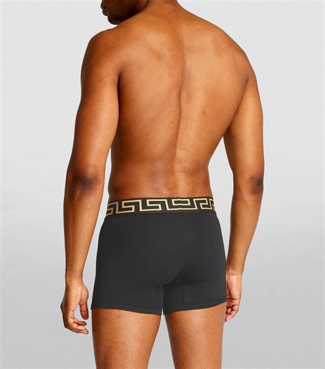 versace men brief|Versace men's underwear briefs.